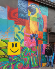 @thecanvassf #parrot #sf #marketstreet #sanfrancisco #mural #art