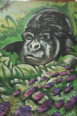 gorilla by camer1