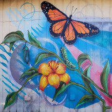 #metamorphosis #transformation #butterfly #lily #graffitiart #modesto #redwoodfamilycenter #spraypaint